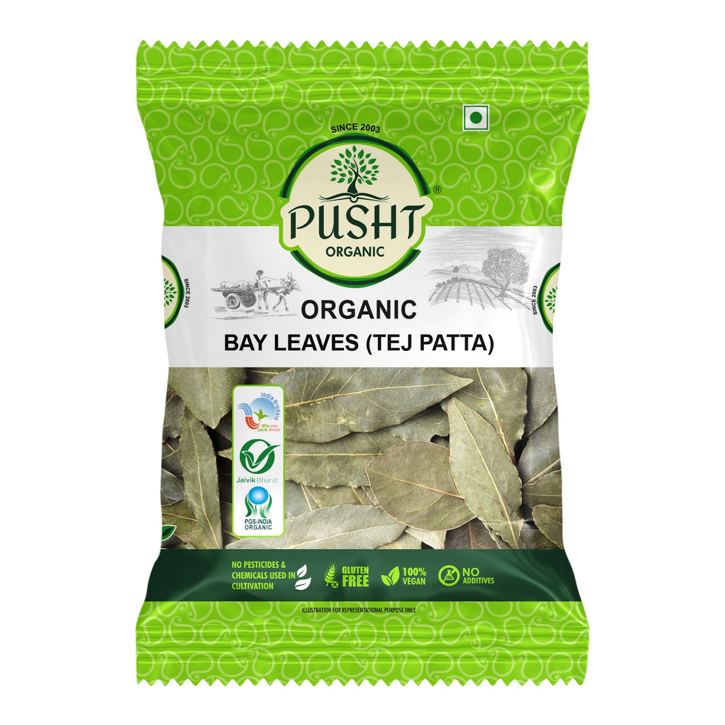 Pusht Organic Bay Leaves(Tej Patta) 25gm