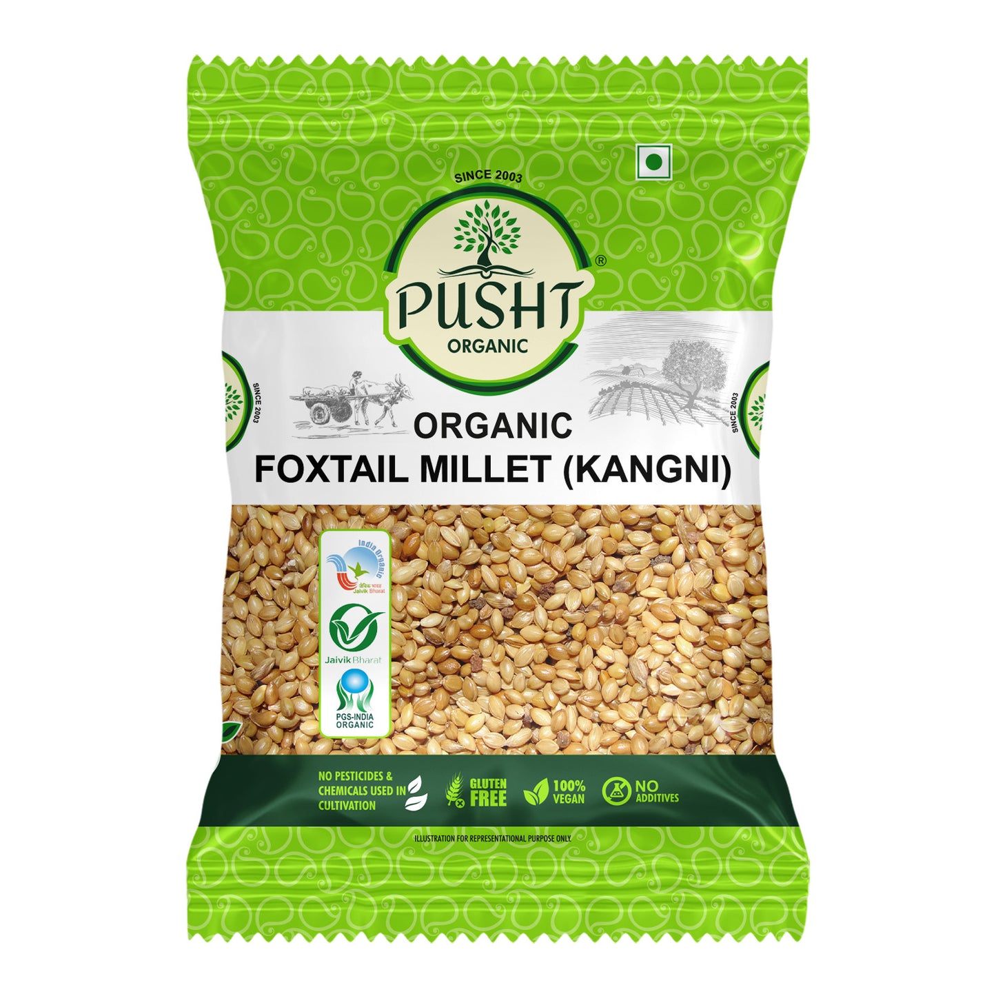 Pusht Organic Foxtail millet