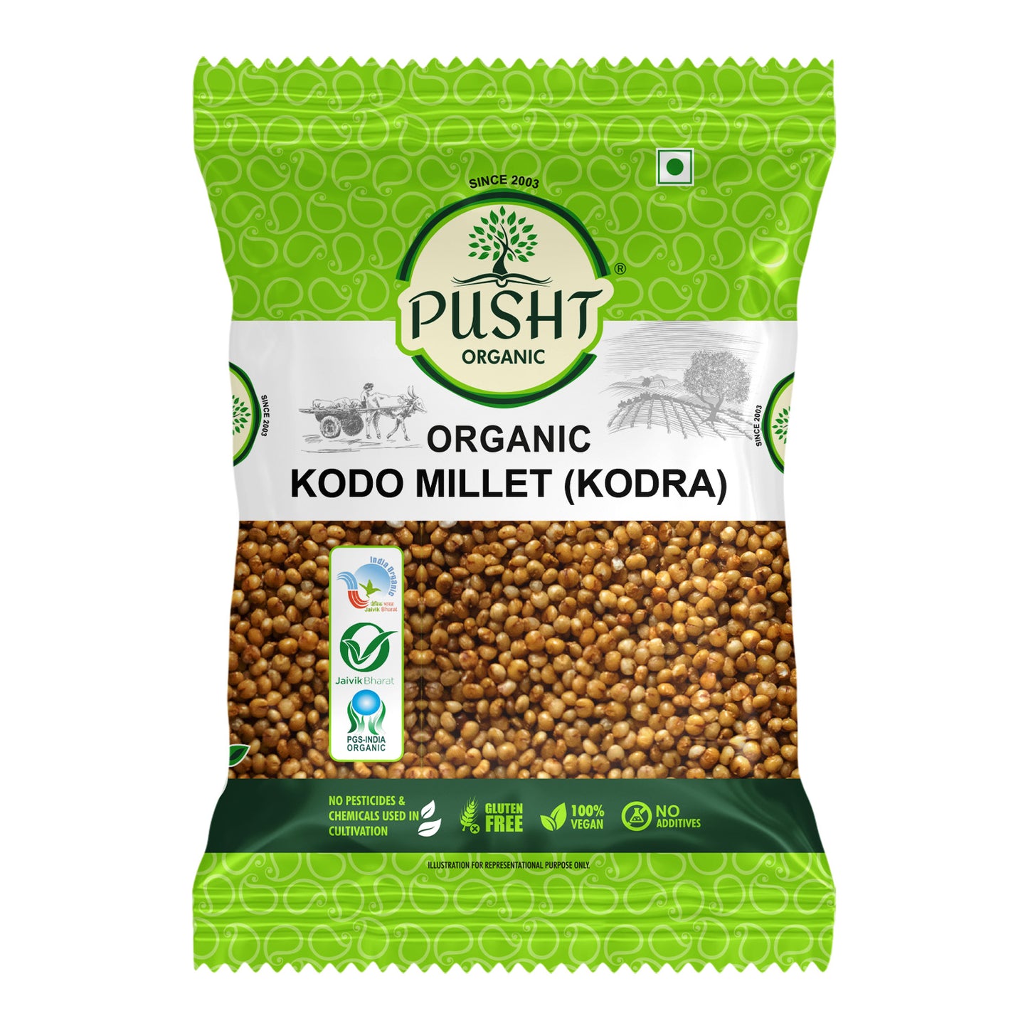 Pusht Organic Kodo (Kodra) millet
